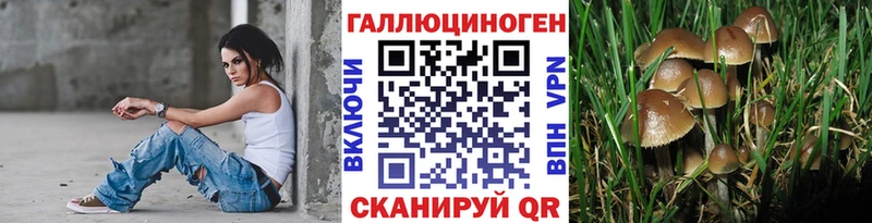 купить   Тара  Псилоцибиновые грибы мицелий 